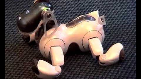 Curiosity-driven development of locomotion in a quadruped robot
