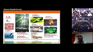 Structural bioinformatics strategy in the design of antiviral drugs from natural products
