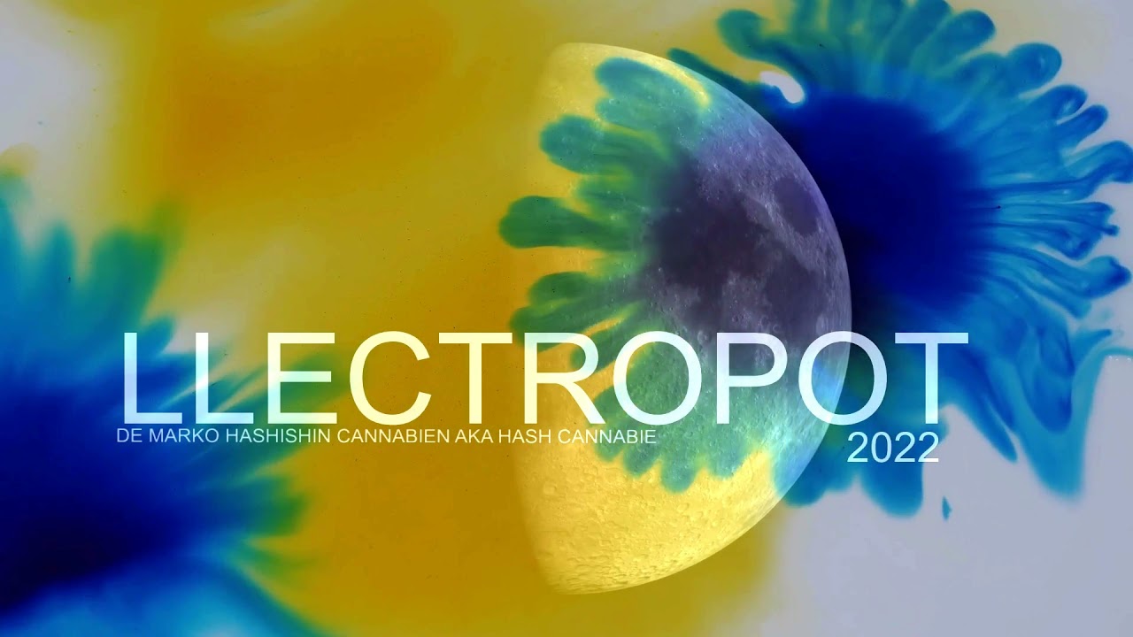 PREMIER LLECTRO POT 2022 DE MARKO HASHISHIN CANNABIEN AKA HASH CANNABIE