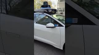 Is this the future of humanity? I had to try it for science, what do you think?