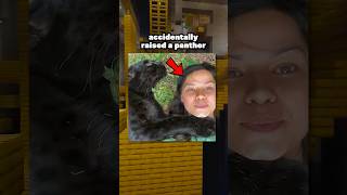 She Accidentally Raised A Black Panther