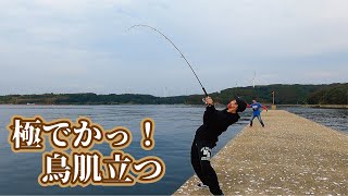 堤防釣りを始めた青年が極デカ生物を目の当たりして鳥肌が立ち止まない！