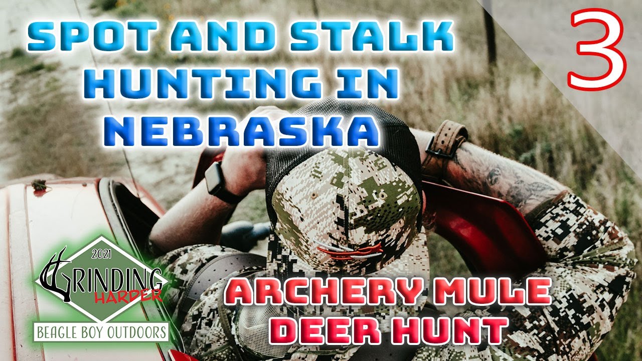 Spot and Stalk Hunting in Nebraska Mule Deer Hunt Turns Whitetail
