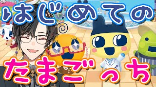 四季凪アキラ(しきなぎあきら)の配信のサムネイル画像