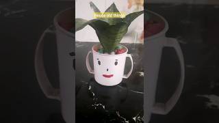 Old Mugs Into Planters Alpha Creations