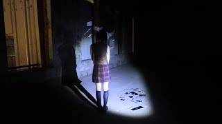 彼女は永遠にその夏に残った【HEAVEN BURNS RED】