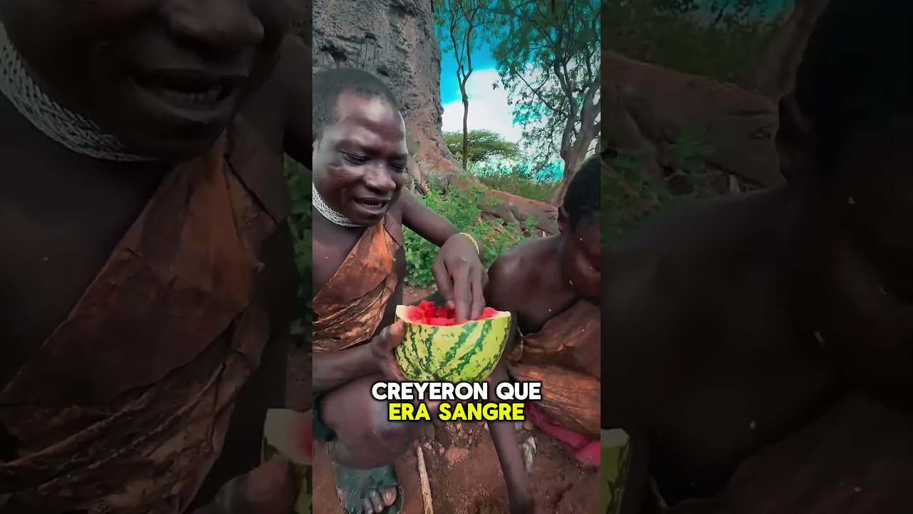 Cuando los pueblos tribales vieron una sandía, pensaron que era un huevo. 