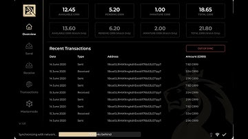 G999main PC Instructions - Uninstalling & Reinstalling The G999 Core Wallet