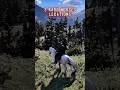 Top 3 Most RARE Horses in Red Dead Redemption 2