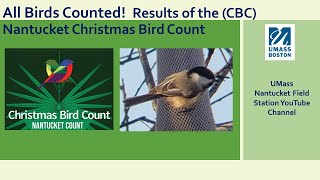 All Birds Counted! Results of the Nantucket CBC