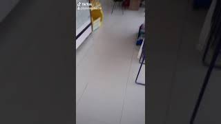 En Güzel Evlenme Teklifi Iki Kalp Severse Adı Aşk Olur