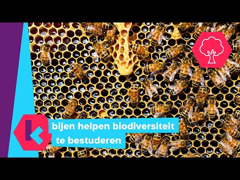 Video: Welke Dieren En Planten Zijn Er In De Bergen