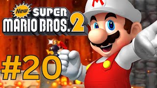 NEW! Super Mario Bros 2 3DS! WALKTHROUGH: Part 20: COLLECTING COINS (4)