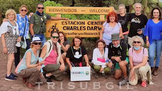 A Viajar Se Ha Dicho Un Recorrido Visual Por El Mundo De Trisubgil