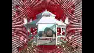 Tomok Cintaku berada di indonesia.Cover.flv