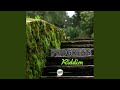 Progress Riddim