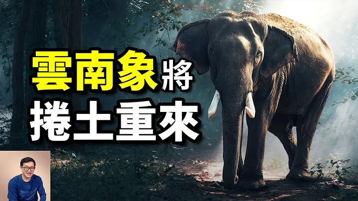 隨時可能應驗的預言：雲南亞洲象將捲土重來，再次北上！【老肉雜談】 - 天天要聞