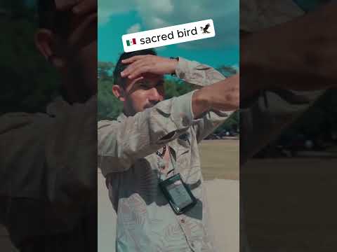 A Sacred Bird That Connected Humans To The Gods Travel Mexico 