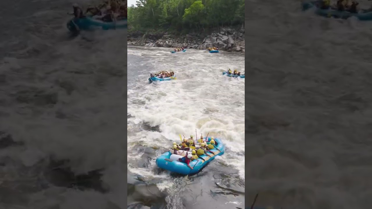 Daydreaming of summer on the Ottawa River 🇨🇦🌊☀️
