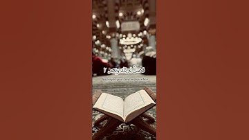 سورة الكوثر 🤎(اكتب شيء تؤجر عليه🤎😴 #quran )