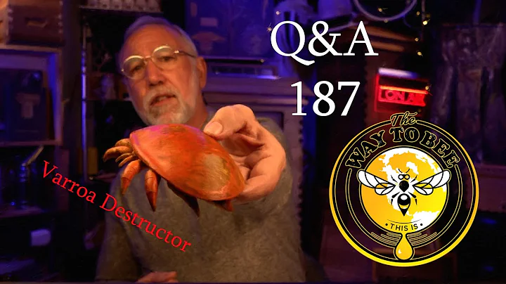 Backyard Beekeeping Questions and Answers Episode ...