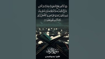 سورة الرعد | Ar-Ra‘d | آية 4 | الشيخ وديع اليمني