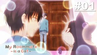 My roommate is a cat episode 1 | english sub | AnimBOI