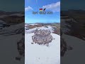 Best Zerg Circle Base #rust #rustconsole #base #zerg