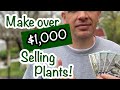I made over $1500 in 4 hours selling plants from my home driveway!! Here's how I did it.