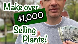 I made over $1500 in 4 hours selling plants from my home driveway!! Here's how I did it.