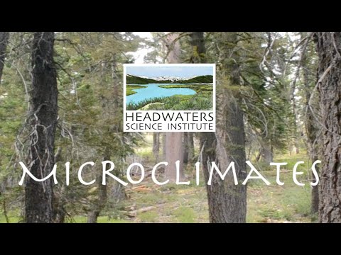 Video: Hoe damme mikroklimate beïnvloed – leer meer oor damme en mikroklimate