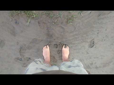 Barefoot Earthing Grounding by The Royal Liverpool Golf Club