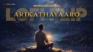 Bodyguard | Arikathayaaro (LoFi Flip) | Dileep | Nayanthara |  Ouseppachan | Chris Wayne by Sony Music South 6,164 views 6 days ago 3 minutes, 49 seconds