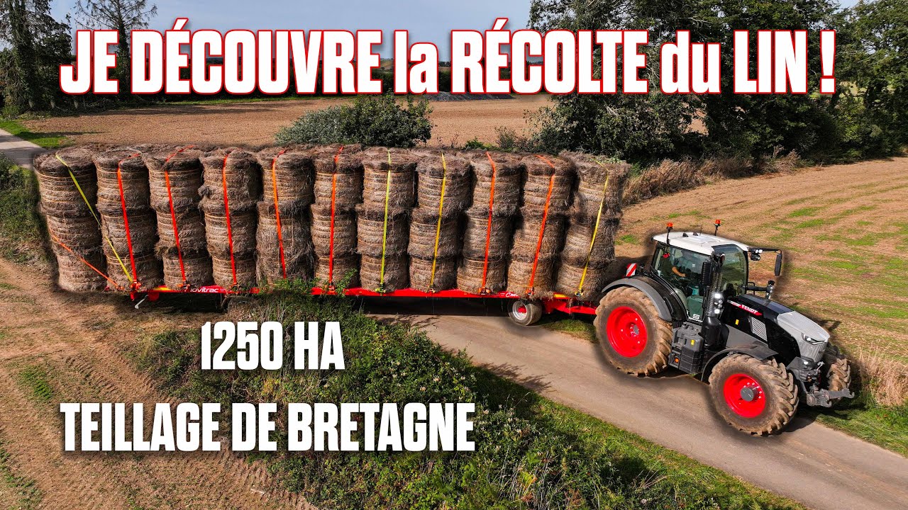 😱 RÉCOLTE de 1250HA de LIN avec TEILLAGE de BRETAGNE : UNE JOURNÉE DE FOLIE ! 💪