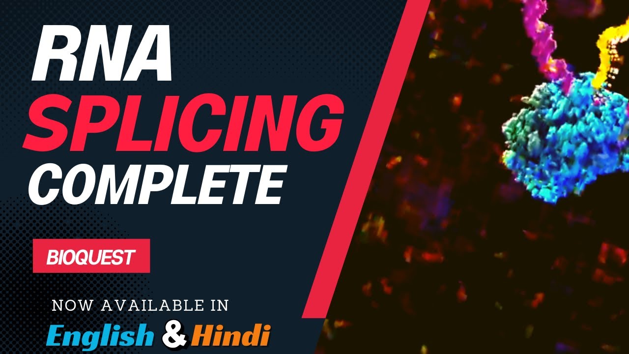 RNA Splicing Explained in Hindi | Types, Mechanism & Importance in Gene Expression | Molecular Bio
