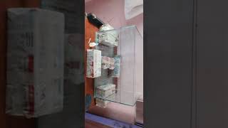 New Aquarium Setup Fish Tank  #shorts #imstudio #aquarium