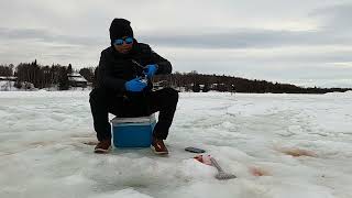 Ice Fishing 🎣 Anchorage Alaska #ice fishing