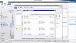 CRM 2011 Basic Customizations