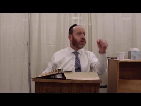 Chullin 66 with Rabbi Shmuel Silber
