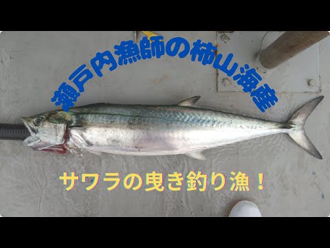 2025 05 30 瀬戸内漁師のオレンジ船長！サワラの曳き釣りVol3 - YouTube