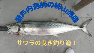 2025 05 30 瀬戸内漁師のオレンジ船長！サワラの曳き釣りVol3 - YouTube
