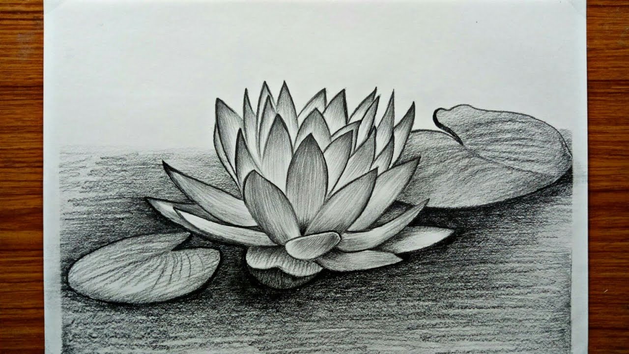 Discover 76+ lotus flower sketch easy - seven.edu.vn