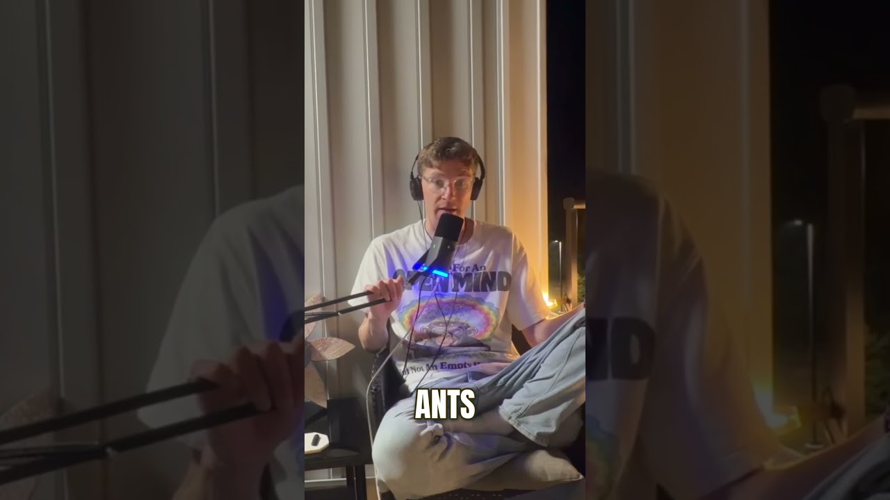 We Are The Ants: Take Back Our Reality! #shorts