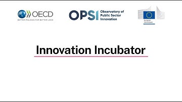Innovation Incubator Programme