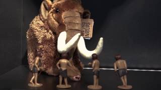 Le Préhistomuseum, Cest Aussi Une Boutique
