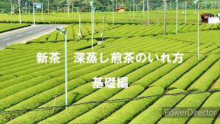 新茶　深蒸し煎茶のいれ方　基礎編