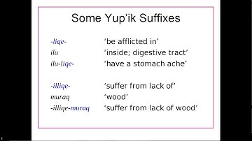 LING 101 UNM - Morphology - part 5