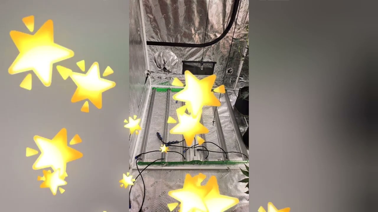 720 Led Grow Light: Perfect For Indoor Gardens