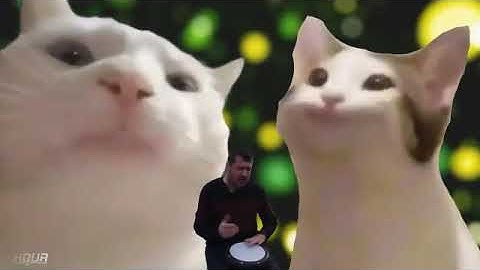 Pop Cat VS Vibing Cat 1 Hour