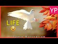 Life  powerful tamil motivation  motivational speech in tamil  yennodu pesalam